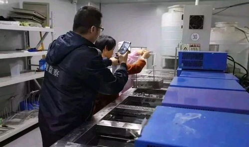 深圳環(huán)保消防嚴查風暴下，一家工廠的關閉與反思