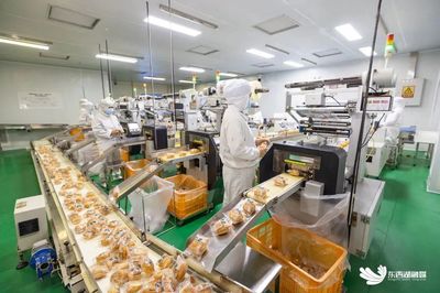 區內企業投資管理 策略、挑戰與優化路徑